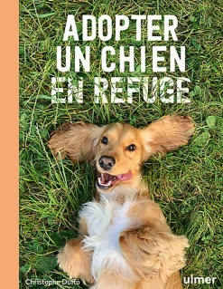 Adopter un chien en refuge