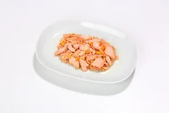 Almo Nature - Pâtée Hfc Natural Saumon Et Potiron - 55g