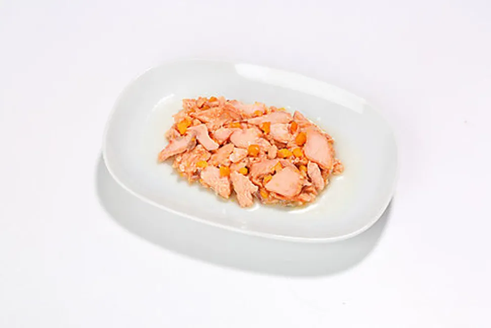 Almo Nature - Pâtée Hfc Natural Saumon Et Potiron - 55g