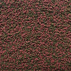 Amtra - Aliment Pro Gran 1.5 pour Poissons