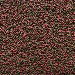 Amtra - Aliment Pro Gran Micro 0.5 pour Poissons