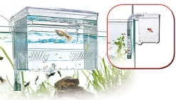 Amtra - Boite D'élévage Externe Hang On