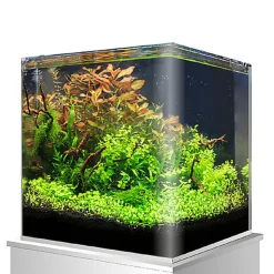 Amtra - Cuve Nanotank 60 - 38x38x43cm