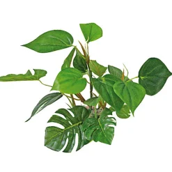 Amtra - Décoration Plant Replica Anubias - 20cm