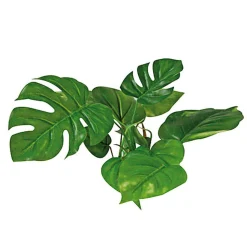 Amtra - Décoration Plant Replica Anubias - 15cm