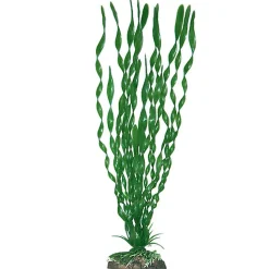 Amtra - Décoration Plante Classic Valisneria Major - XL