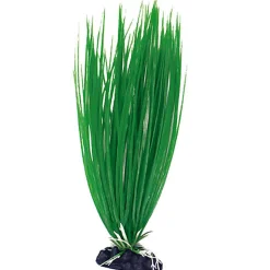 Amtra - Décoration Plante Classic Acorus - M