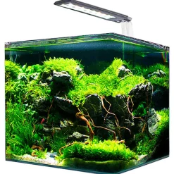 Amtra - Kit Aquarium Nanotank System 15 - 30x20x25cm