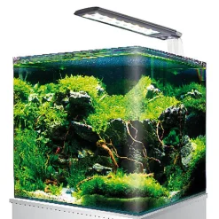 Amtra - Kit Aquarium Nanotank System 36 - 40x30x30cm