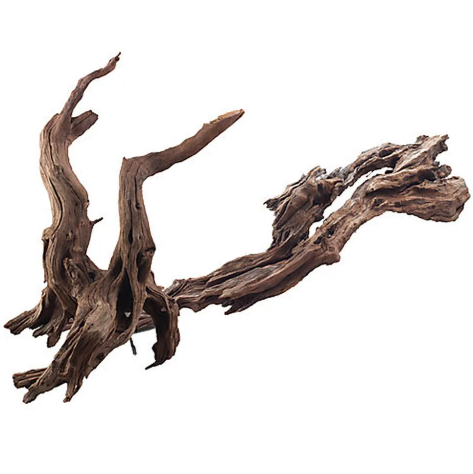 Amtra - Racine Naturelle Bois Ikebana - 30/50cm