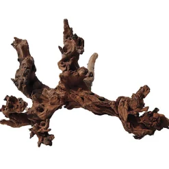 Amtra - Racine Naturelle Mystic Wood