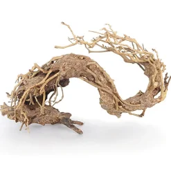 Amtra -  Racine Naturelle Oriental Wind 2 - S