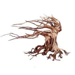 Amtra -  Racine Naturelle Oriental Wind 6 - M