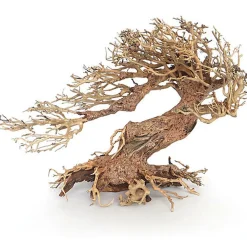 Amtra -  Racine Naturelle Oriental Wind 3 - S