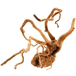 Amtra -  Racine Naturelle Red Wood - 40-45cm