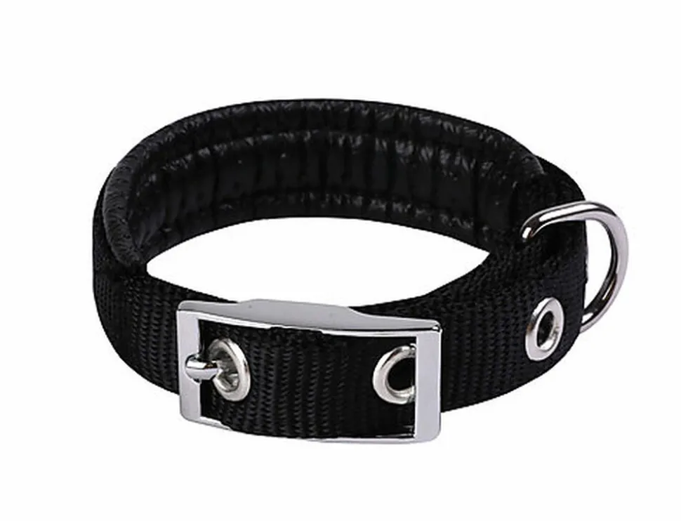 Animalis - Collier Basic Confort pour Chien Noir