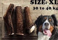 Animalis - Friandise Bois de Cerf Entier pour Chien