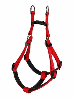 Animalis - Harnais Basic Confort pour Chien - Rouge