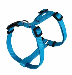 Animalis - Harnais Basic pour Chien - Bleu