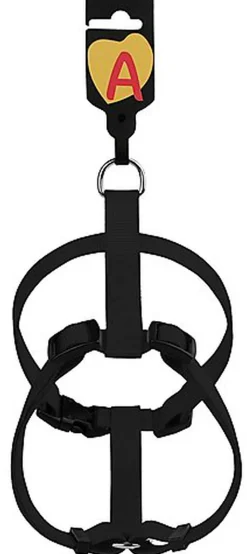 Animalis - Harnais Basic pour Chien - Noir