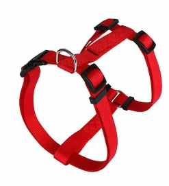 Animalis - Harnais Basic pour Chien - Rouge