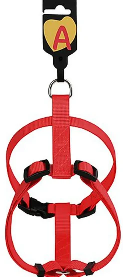 Animalis - Harnais Basic pour Chien - Rouge