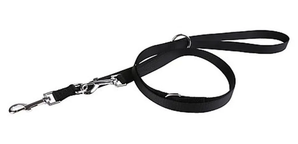 Animalis - Laisse Multiposition Basic 20mm et 200cm pour Chien - Noir