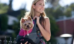 Animalis - Sac à Dos Transport pour Chien et Chat - Noir