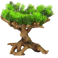 Aquadella - Décoration FLORASCAPE 11 M pour Aquarium - 22x19x23,5cm