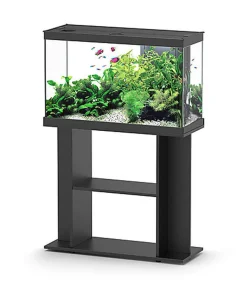 Aquadisio - Aquarium Alto 80cm - Noir