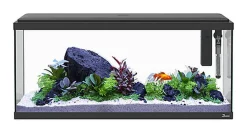 Aquatlantis - Aquarium Explorer Amsterdam 80 Equipé