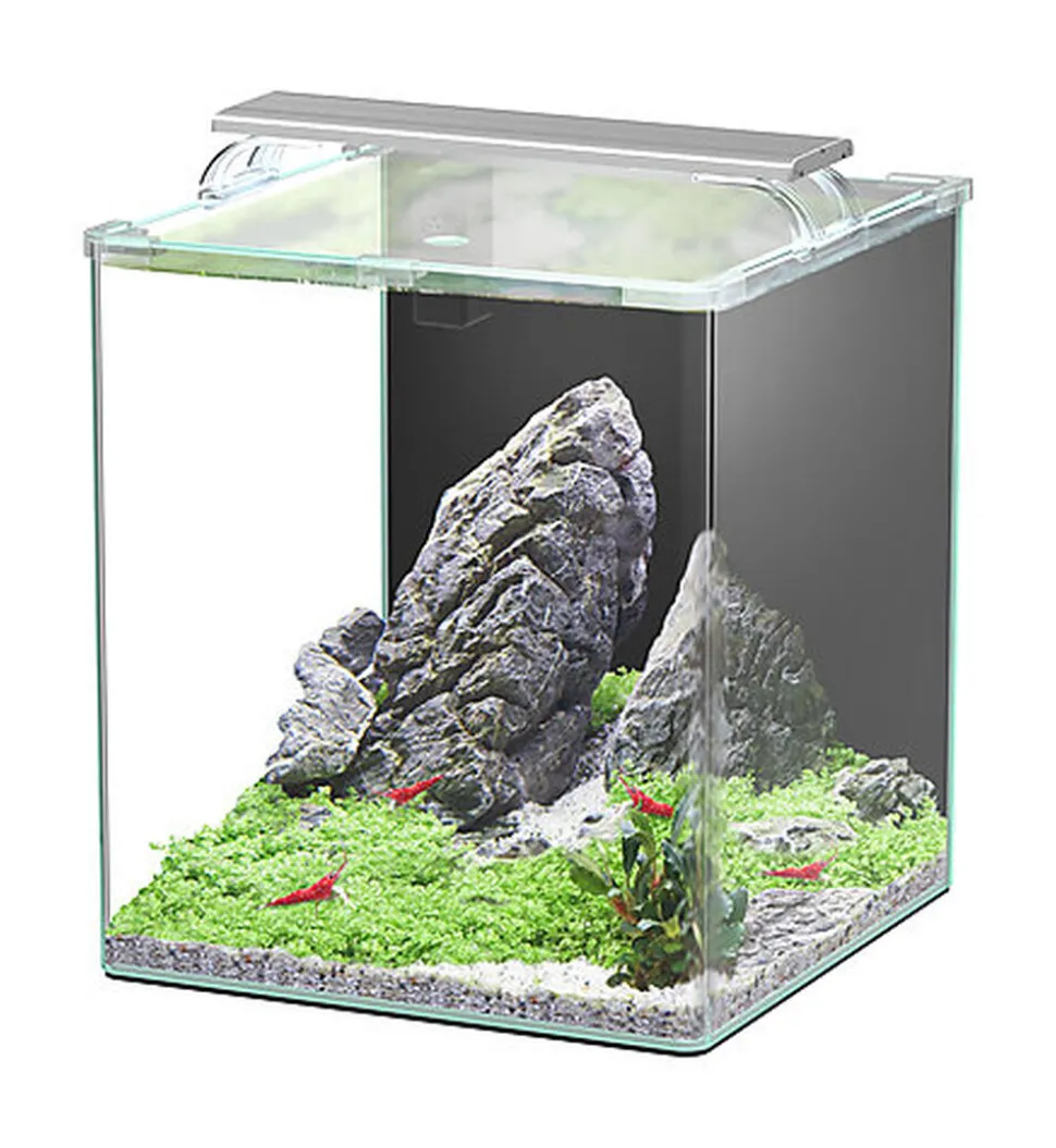 Aquatlantis - Aquarium Kubus Curve 44L - Essential