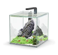 Aquatlantis - Aquarium KUBUS 33 Équipé avec Filtre - 33L