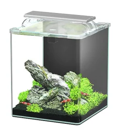 Aquatlantis - Aquarium Kubus Curve 20L - Essential