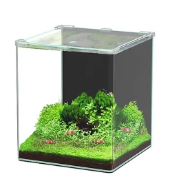 Aquatlantis - Aquarium Kubus Curve 30L Basic