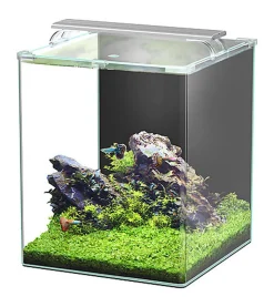 Aquatlantis - Aquarium Kubus Curve 65L - Essential