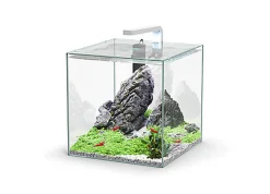 Aquatlantis - Aquarium Kubus 33L - Equipé