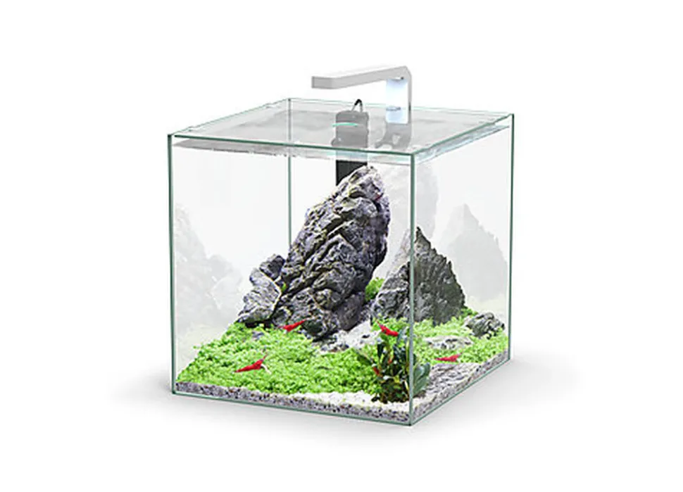 Aquatlantis - Aquarium Kubus 33L - Equipé