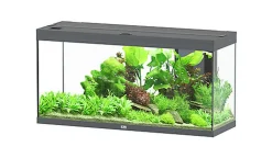 Aquatlantis - Aquarium SPLENDID 120 Led 2.0 Equipé Anthracite - 240L
