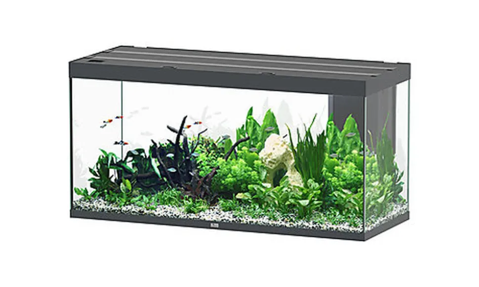 Aquatlantis - Aquarium SUBLIME 150 Led Anthracite - 545L