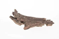 Aquavie - Racine Pookanatur 10/25cm - S