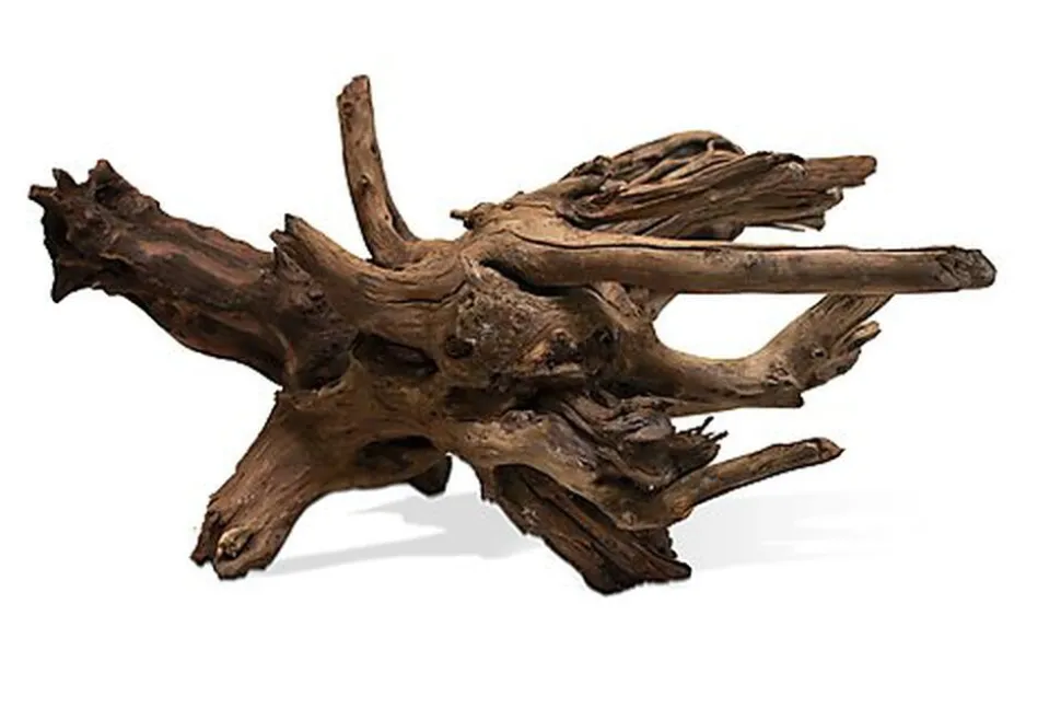 Aquavie - Racine Sinknatur 20/45cm - S