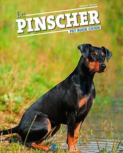 Artémis - Le Pinscher
