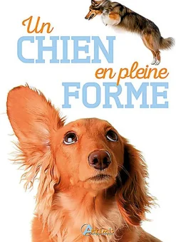 Artémis - Un Chien en pleine forme