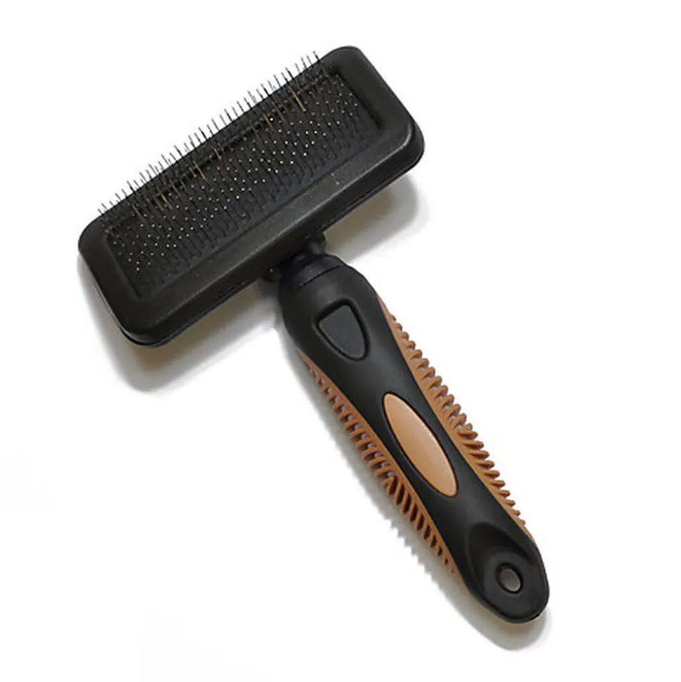 Beauty - Brosse Carde pour Chien