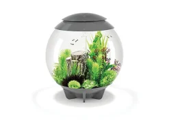 biOrb - Aquarium Halo - 60 mcr gris