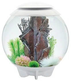 biOrb - Aquarium Halo - 60 mcr blanc