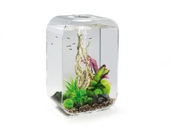 biOrb - Aquarium Life - 45 mcr transparent