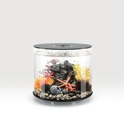 biOrb - Aquarium Tube - 35 mcr noir