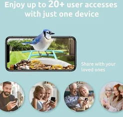 Birdfy -  Mangeoire Intelligente Avec Caméra pour Oiseaux